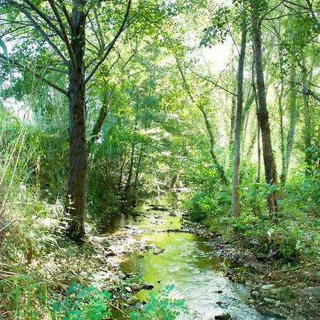 Chartreuse De Mougeres - Pezenas
