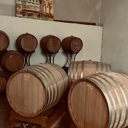 Chartreuse De Mougeres - Pézenas